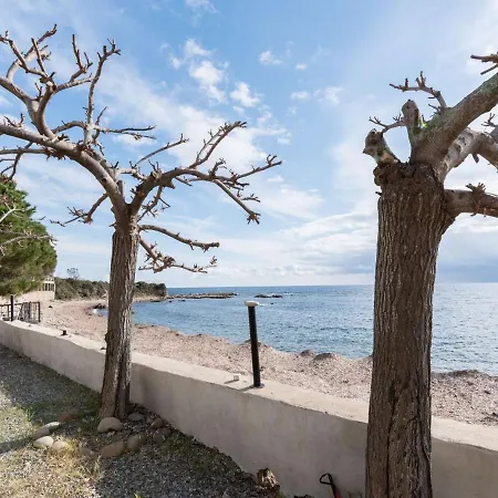 Polpu By Interhome Sari Solenzara